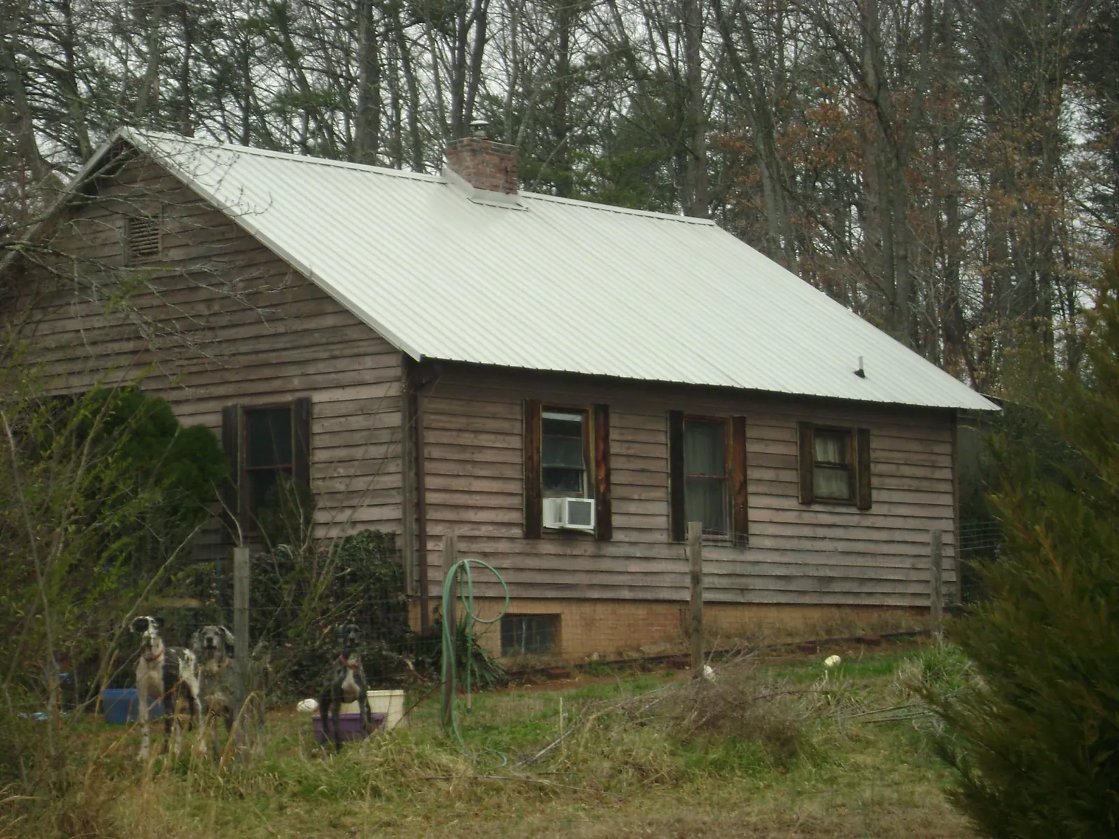 White metal roof on an old wood sided farmhouse, from a Asphalt Shingle Roof Repair job in Blakesburg